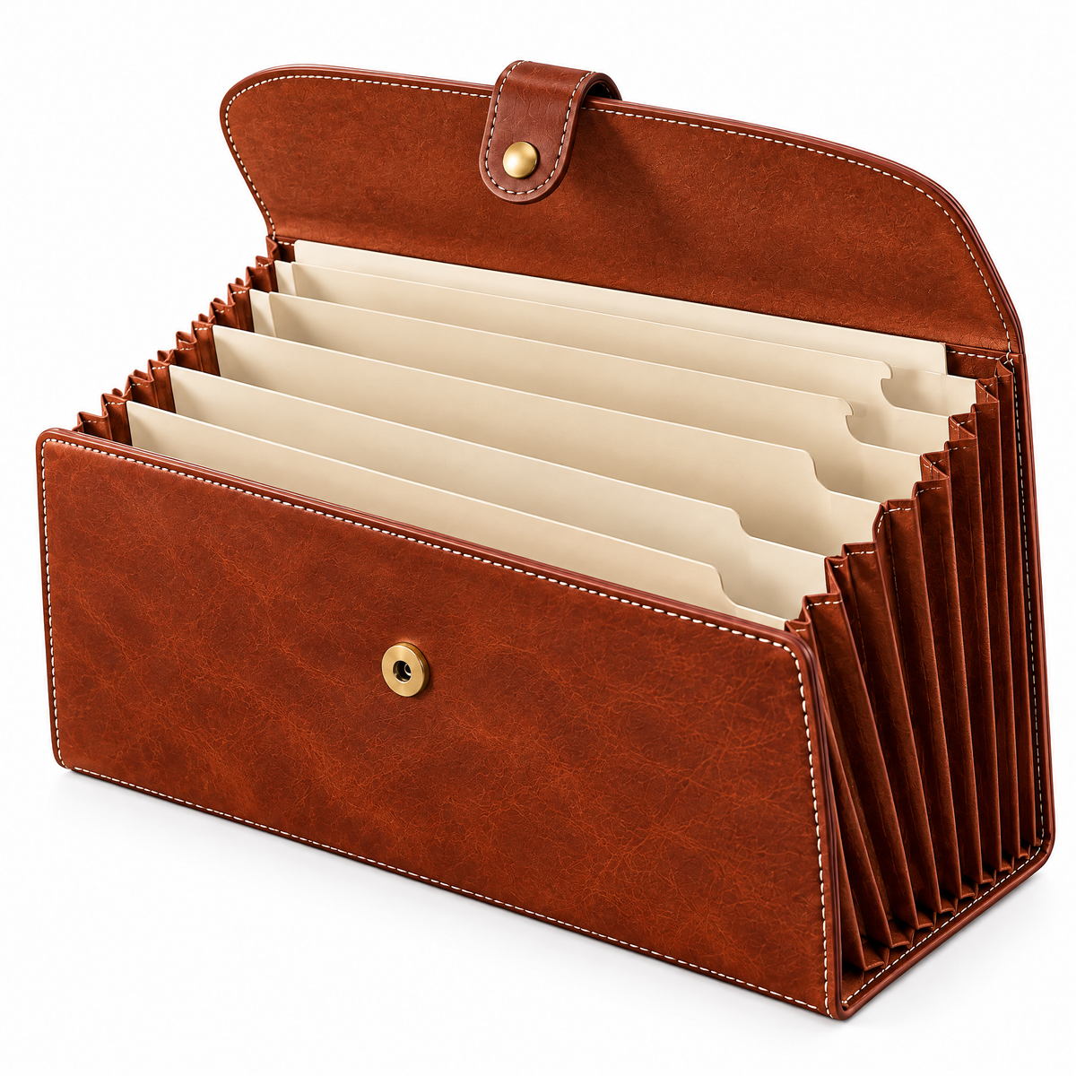 Aerbghs™ Expandable Accordion File Organizer with Snap Closure